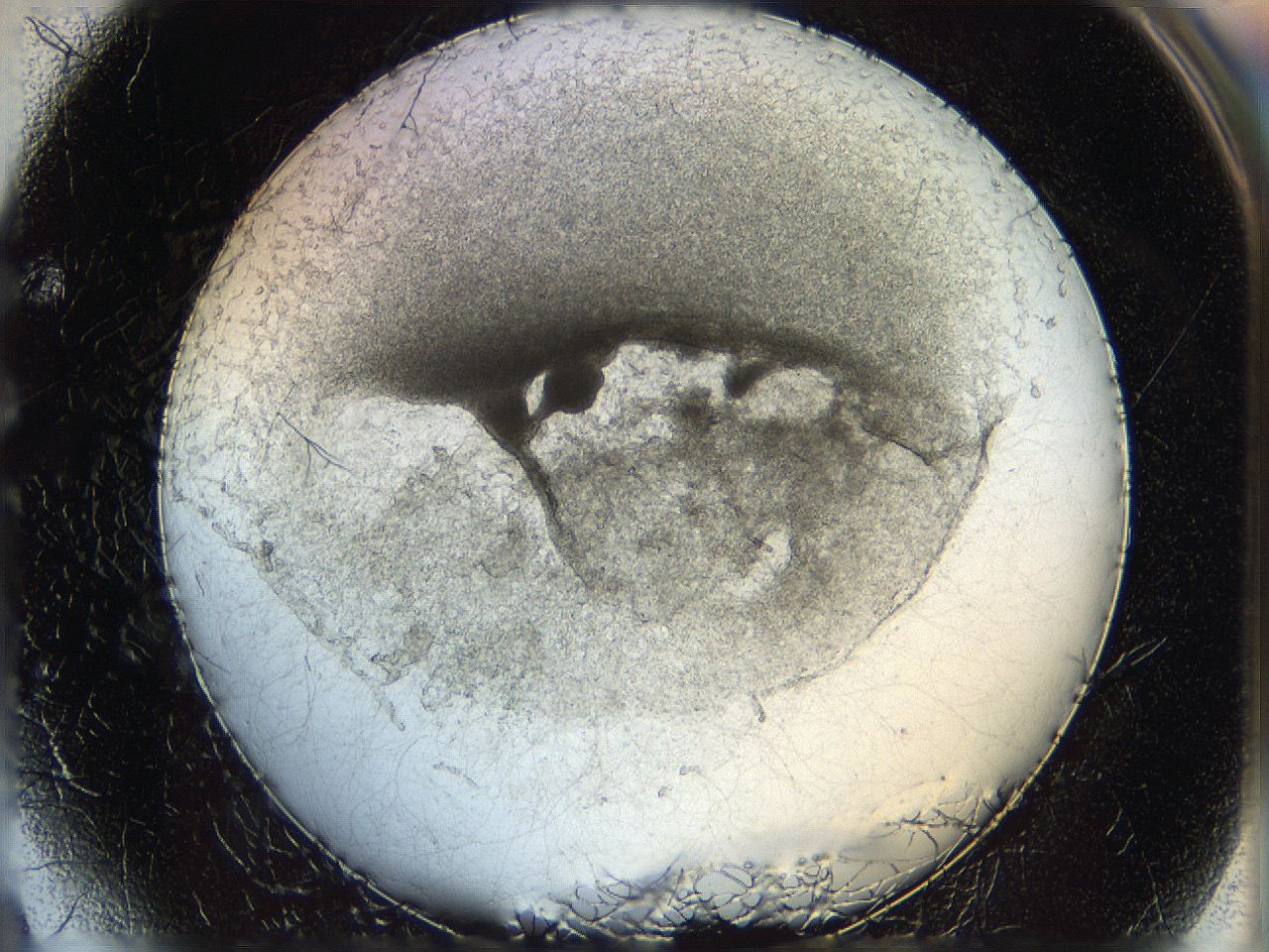 05wo_F4_ImagerDefaults_5.jpg