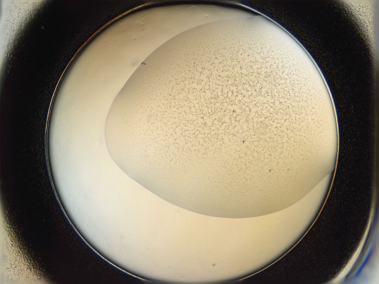 05wo_C1_ImagerDefaults_6.jpg