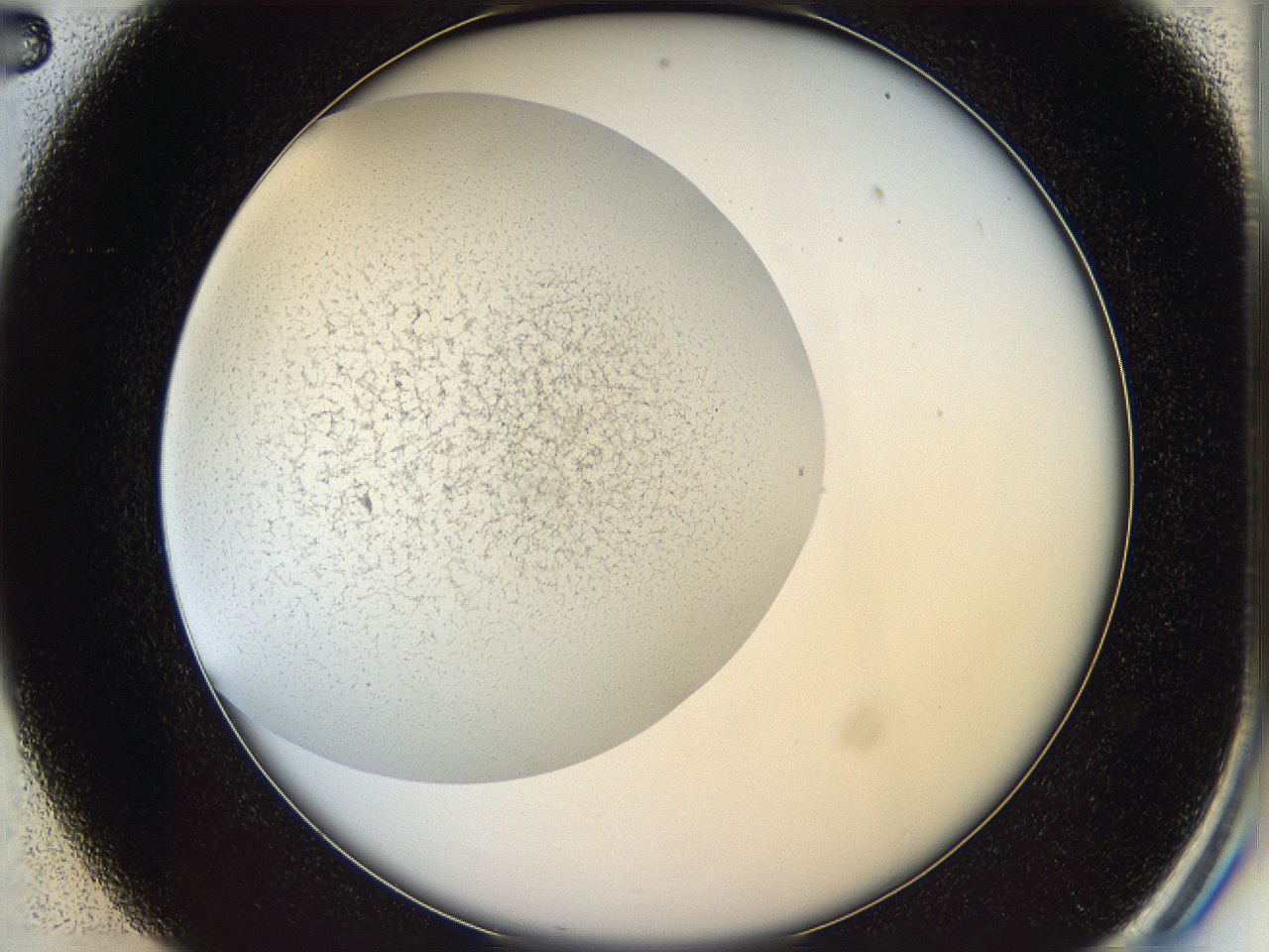 05wo_C2_ImagerDefaults_6.jpg