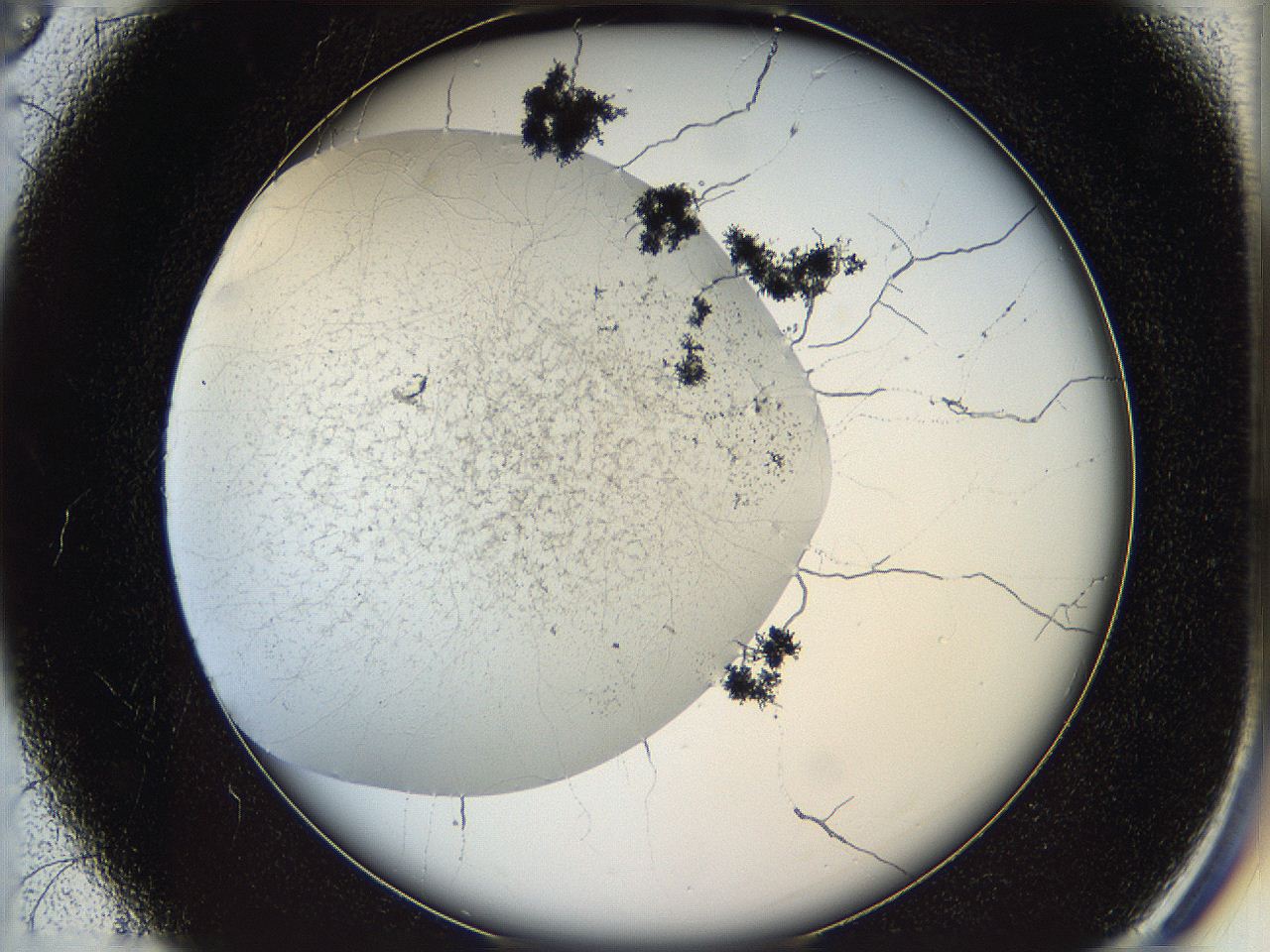 05wo_C3_ImagerDefaults_6.jpg