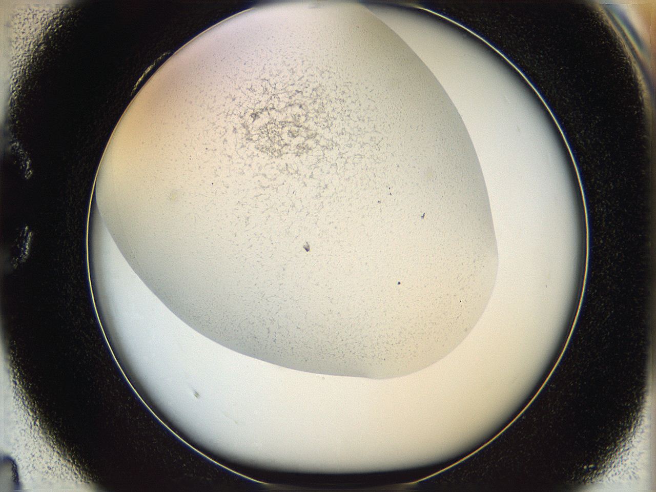 05wo_C4_ImagerDefaults_6.jpg