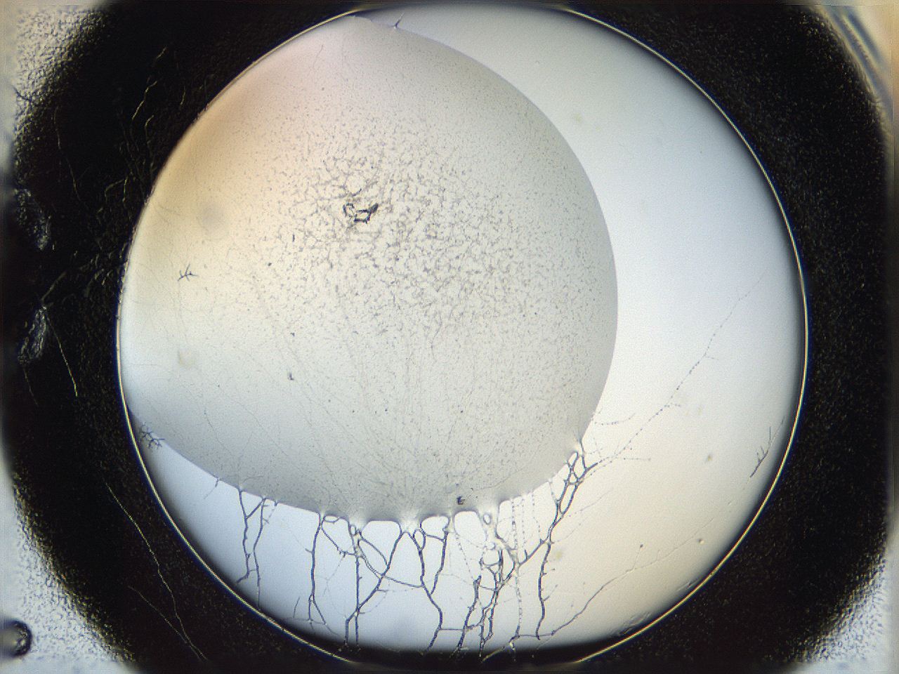 05wo_C5_ImagerDefaults_6.jpg