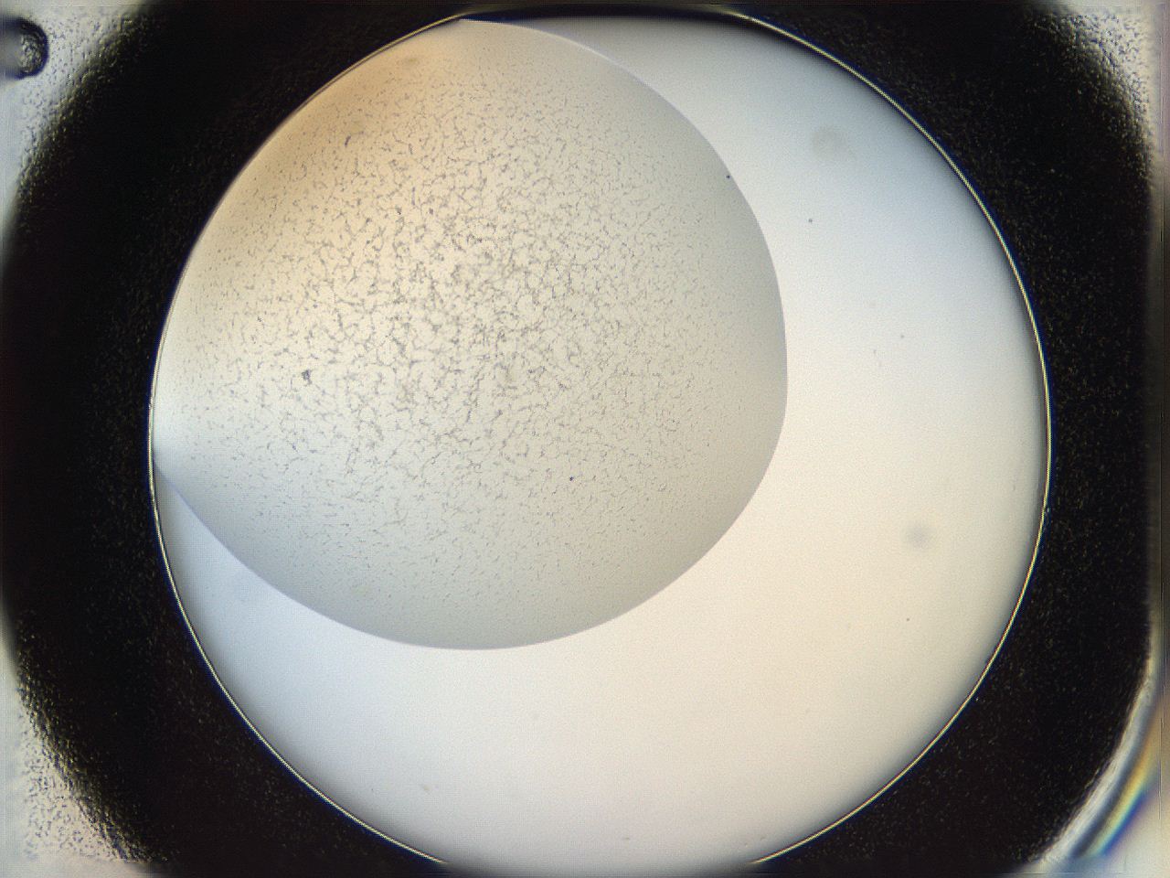 05wo_D2_ImagerDefaults_6.jpg