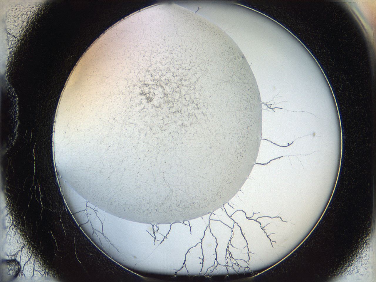 05wo_D7_ImagerDefaults_6.jpg