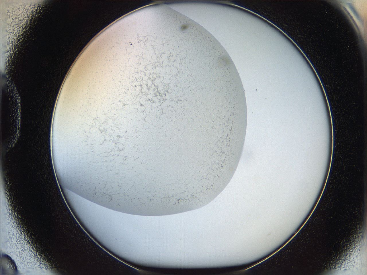 05wo_D8_ImagerDefaults_6.jpg