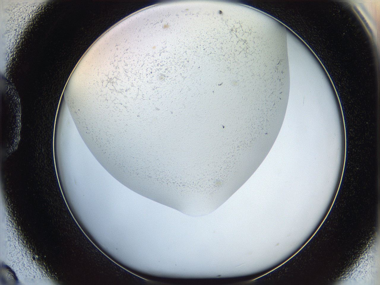 05wo_D9_ImagerDefaults_6.jpg