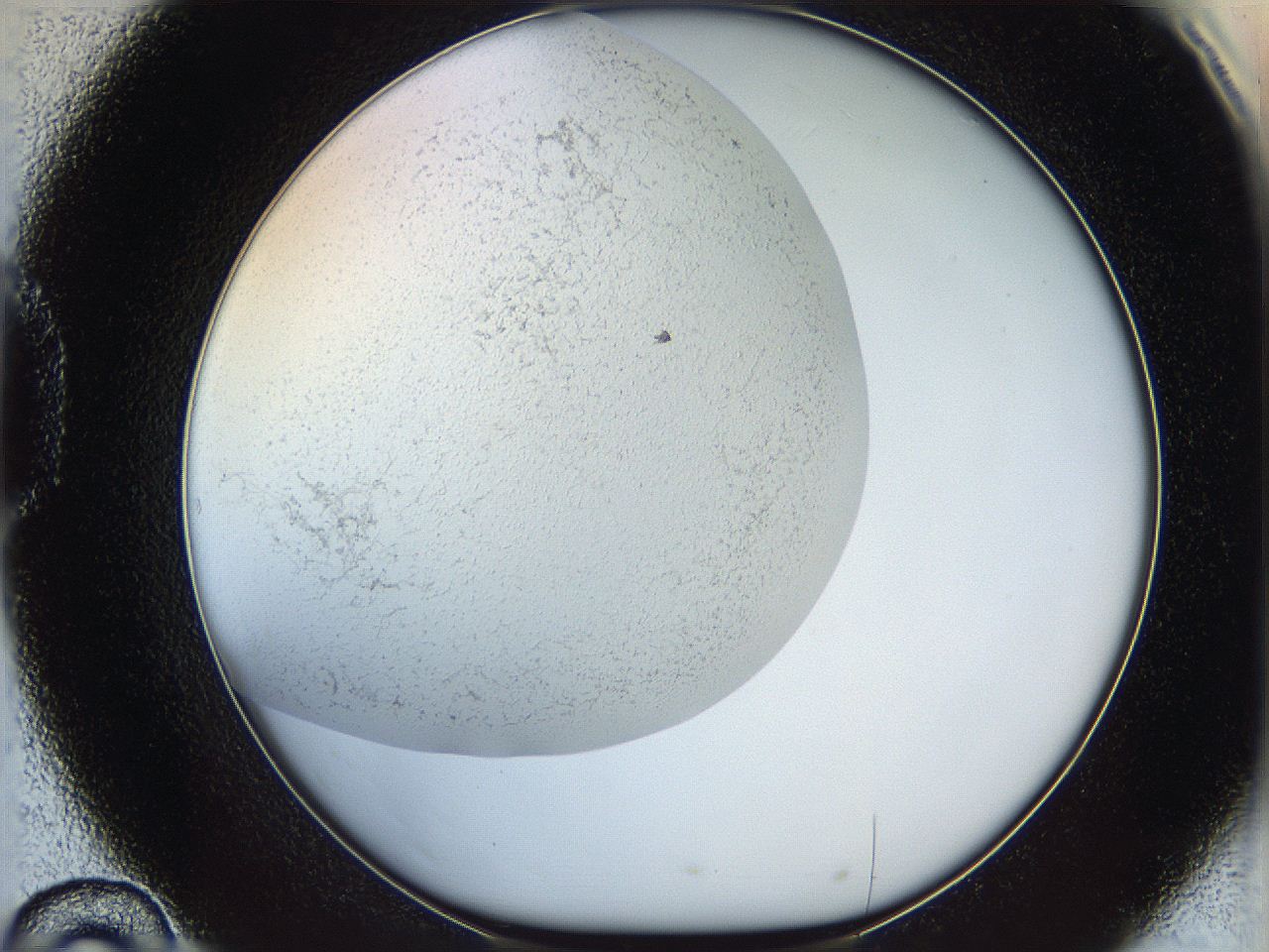 05wo_D10_ImagerDefaults_6.jpg