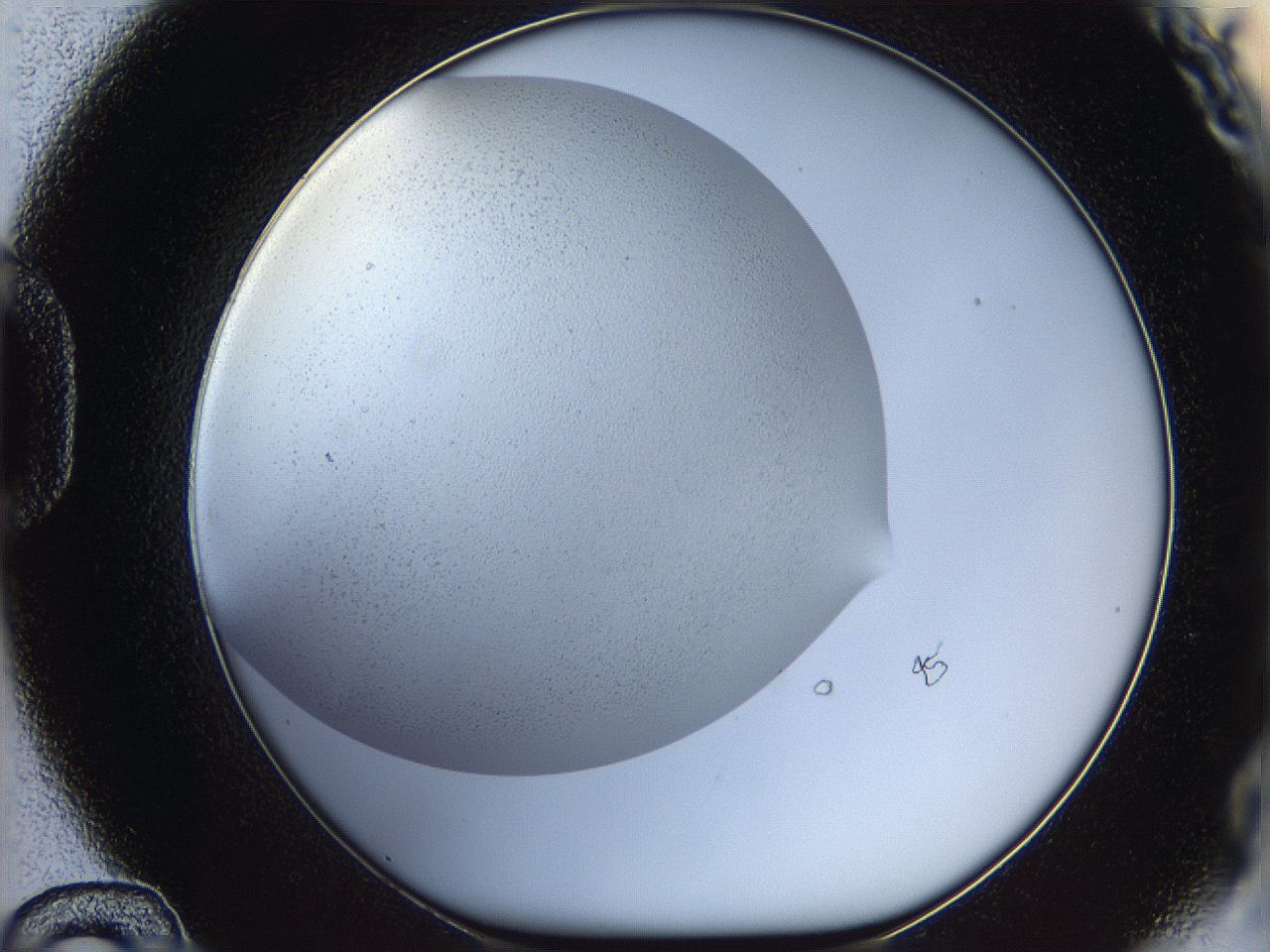 05wo_D12_ImagerDefaults_6.jpg