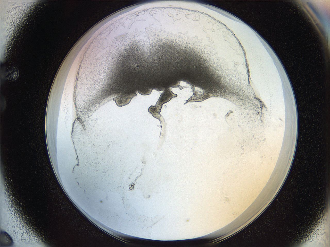05wo_F6_ImagerDefaults_5.jpg