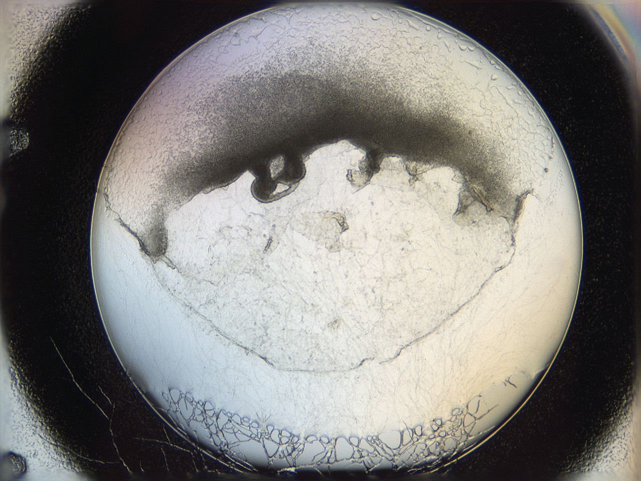 05wo_F7_ImagerDefaults_5.jpg