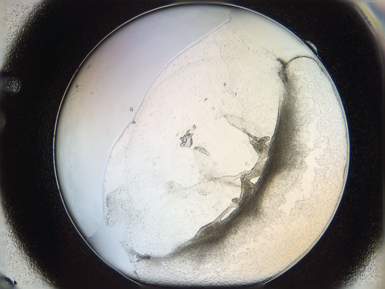 05wo_F9_ImagerDefaults_5.jpg