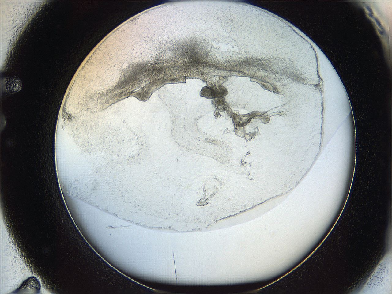 05wo_F11_ImagerDefaults_5.jpg