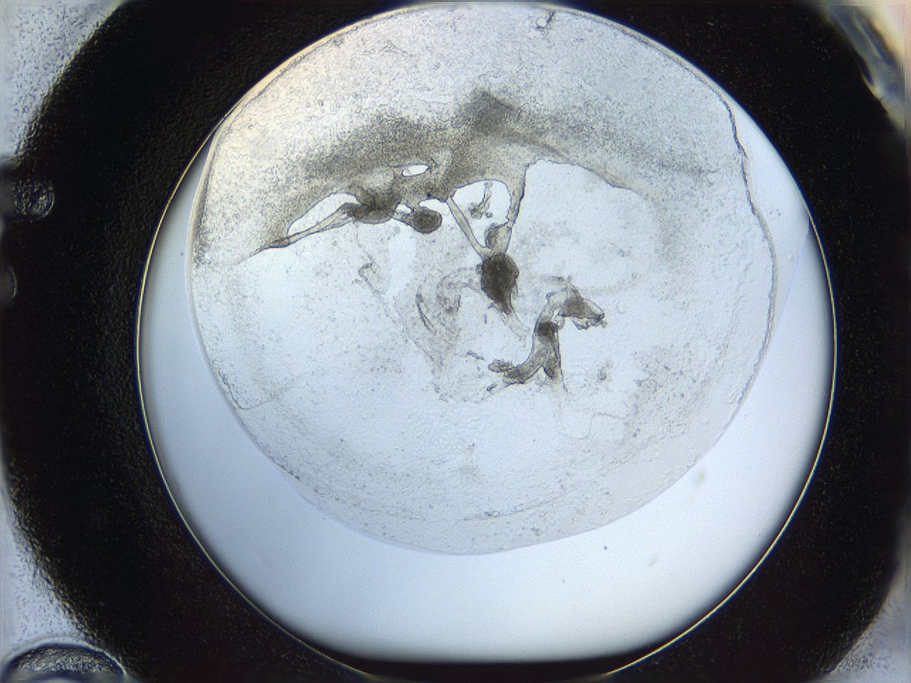 05wo_F12_ImagerDefaults_5.jpg