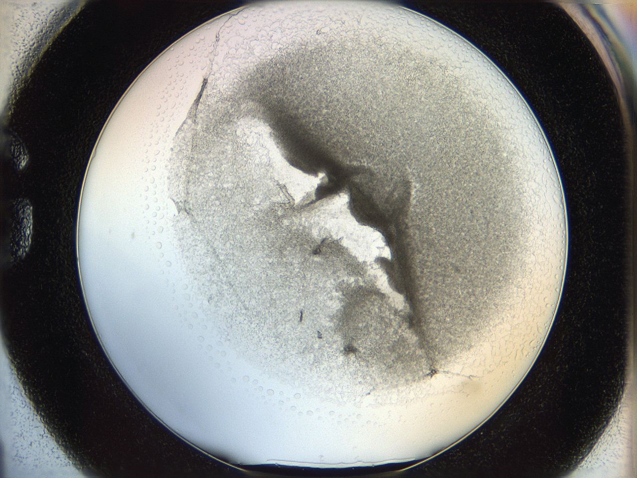 05wo_G1_ImagerDefaults_5.jpg