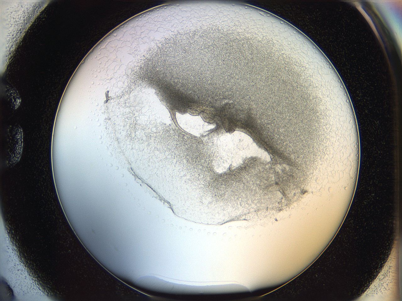 05wo_G2_ImagerDefaults_5.jpg