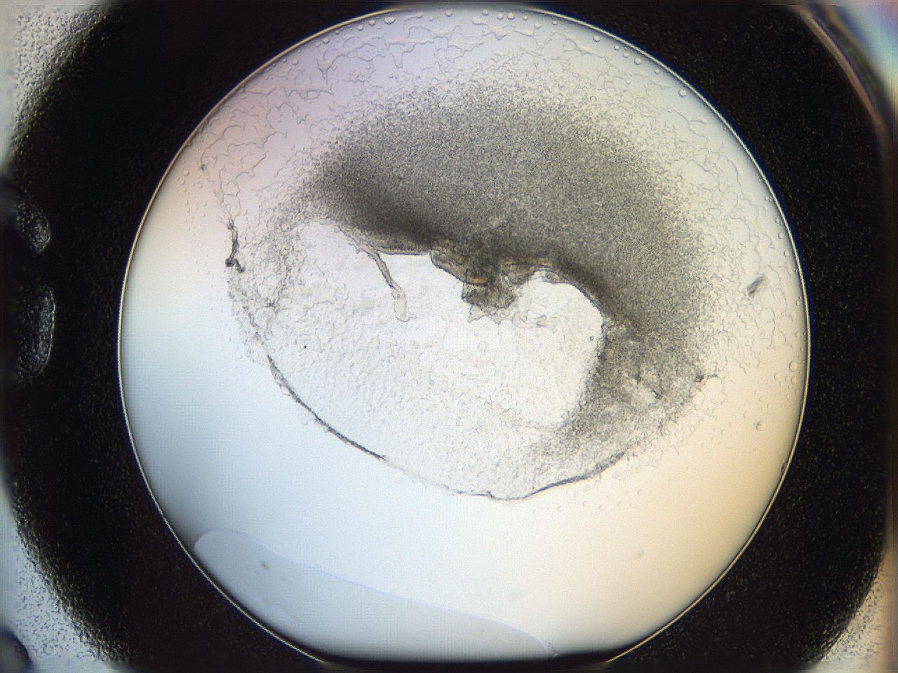 05wo_G3_ImagerDefaults_5.jpg