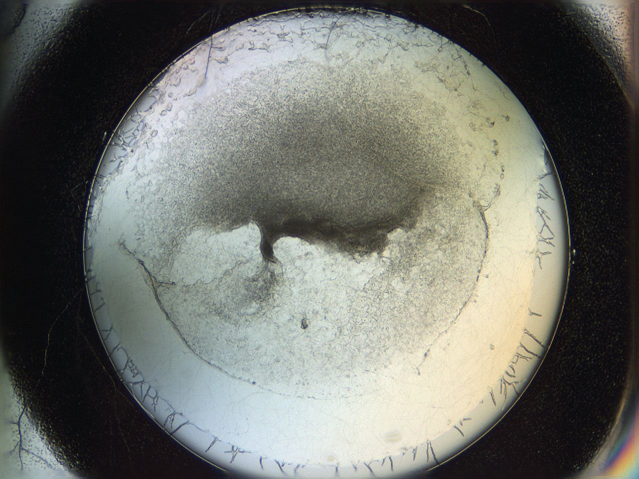 05wo_G5_ImagerDefaults_6.jpg