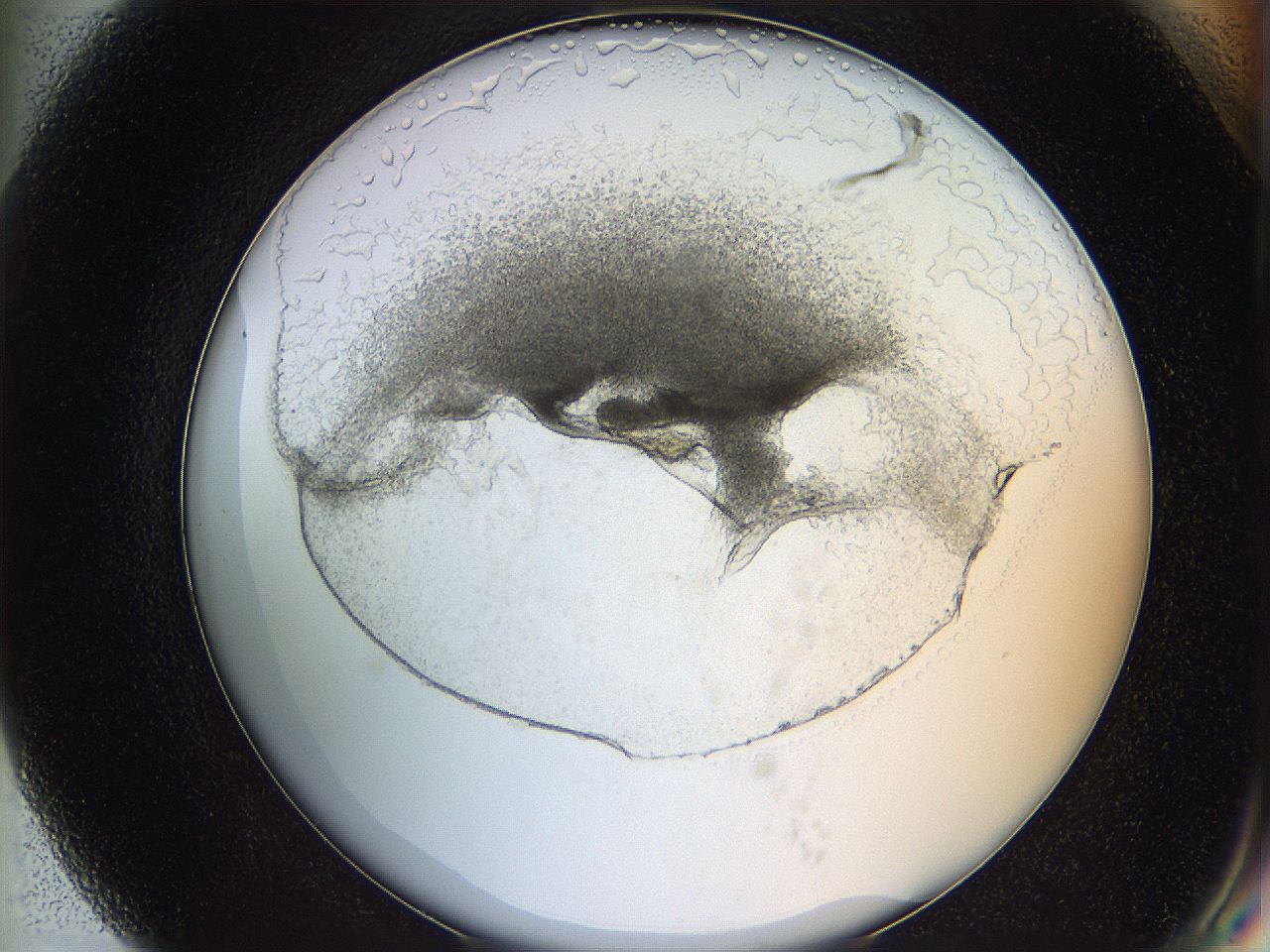 05wo_G7_ImagerDefaults_6.jpg