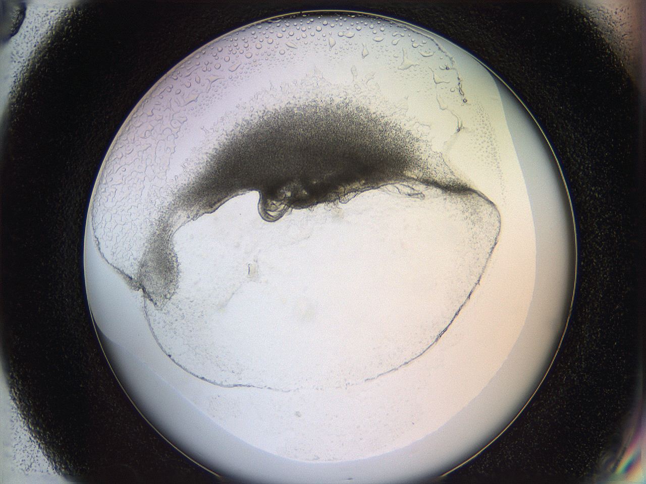 05wo_G8_ImagerDefaults_6.jpg