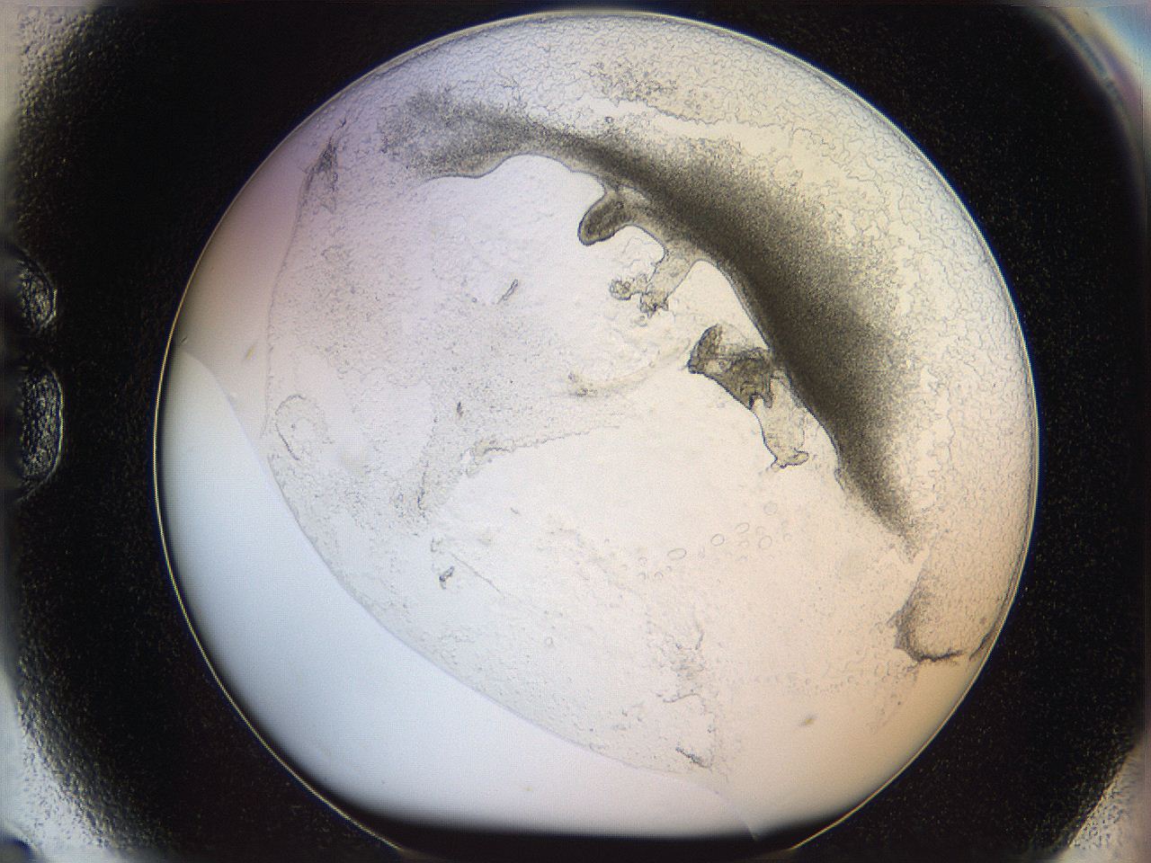 05wo_G9_ImagerDefaults_5.jpg