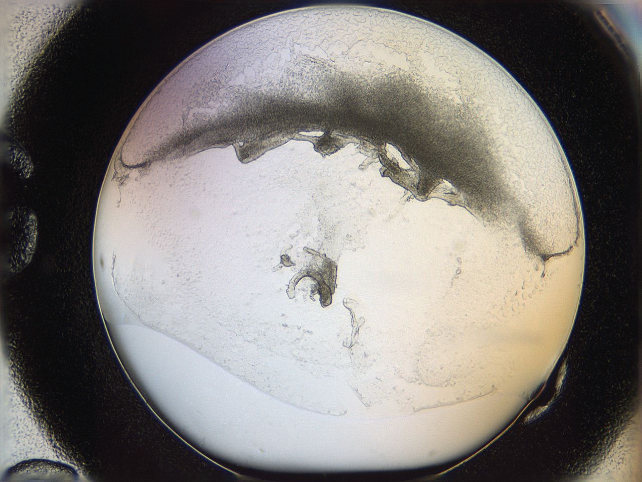 05wo_G10_ImagerDefaults_5.jpg