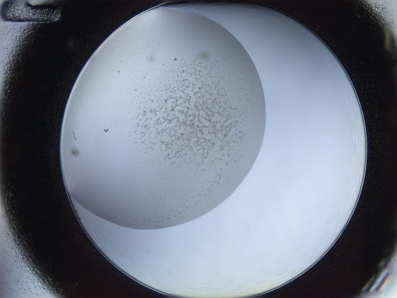 05wo_A12_ImagerDefaults_6.jpg