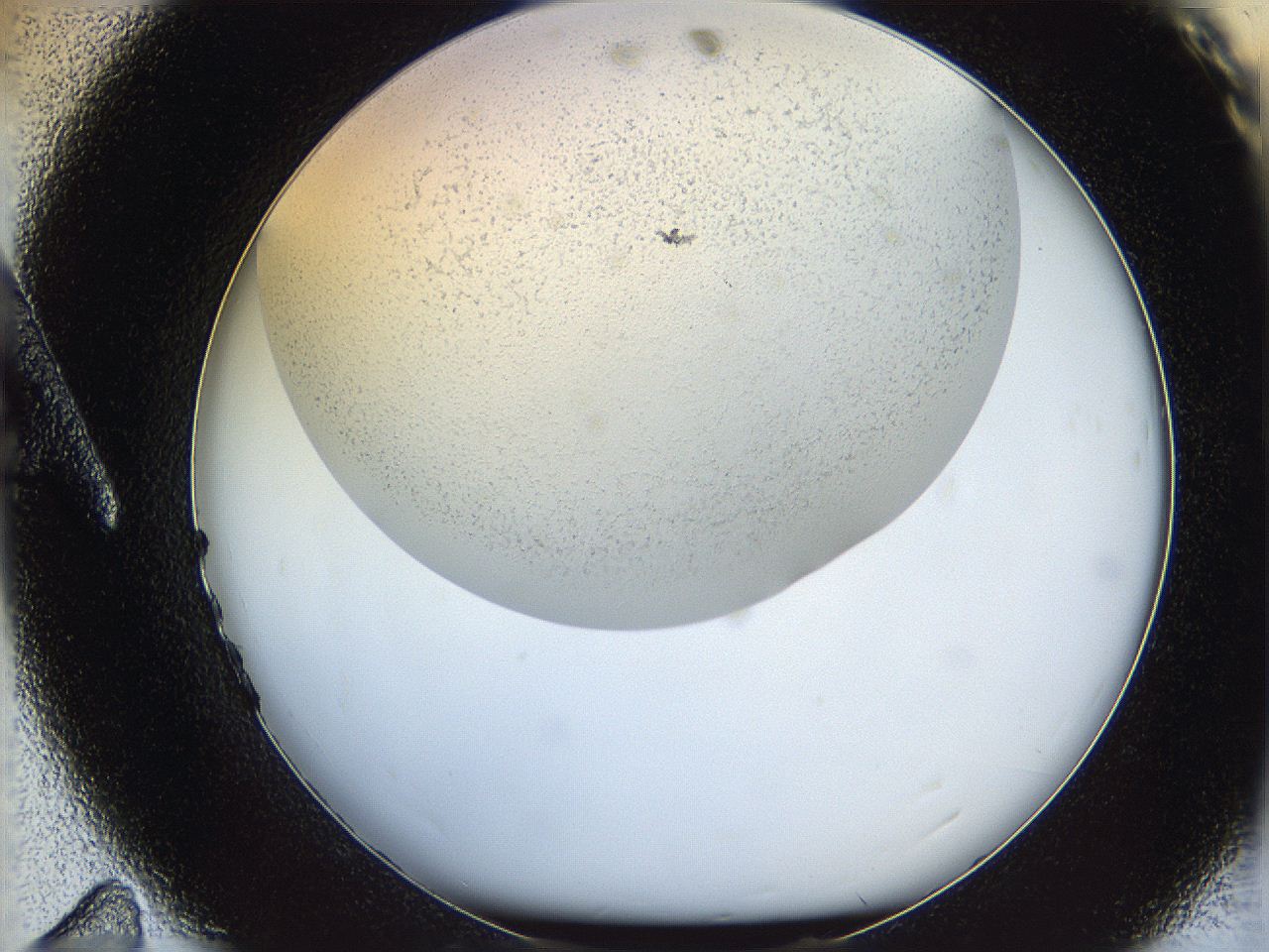 05wo_A11_ImagerDefaults_5.jpg