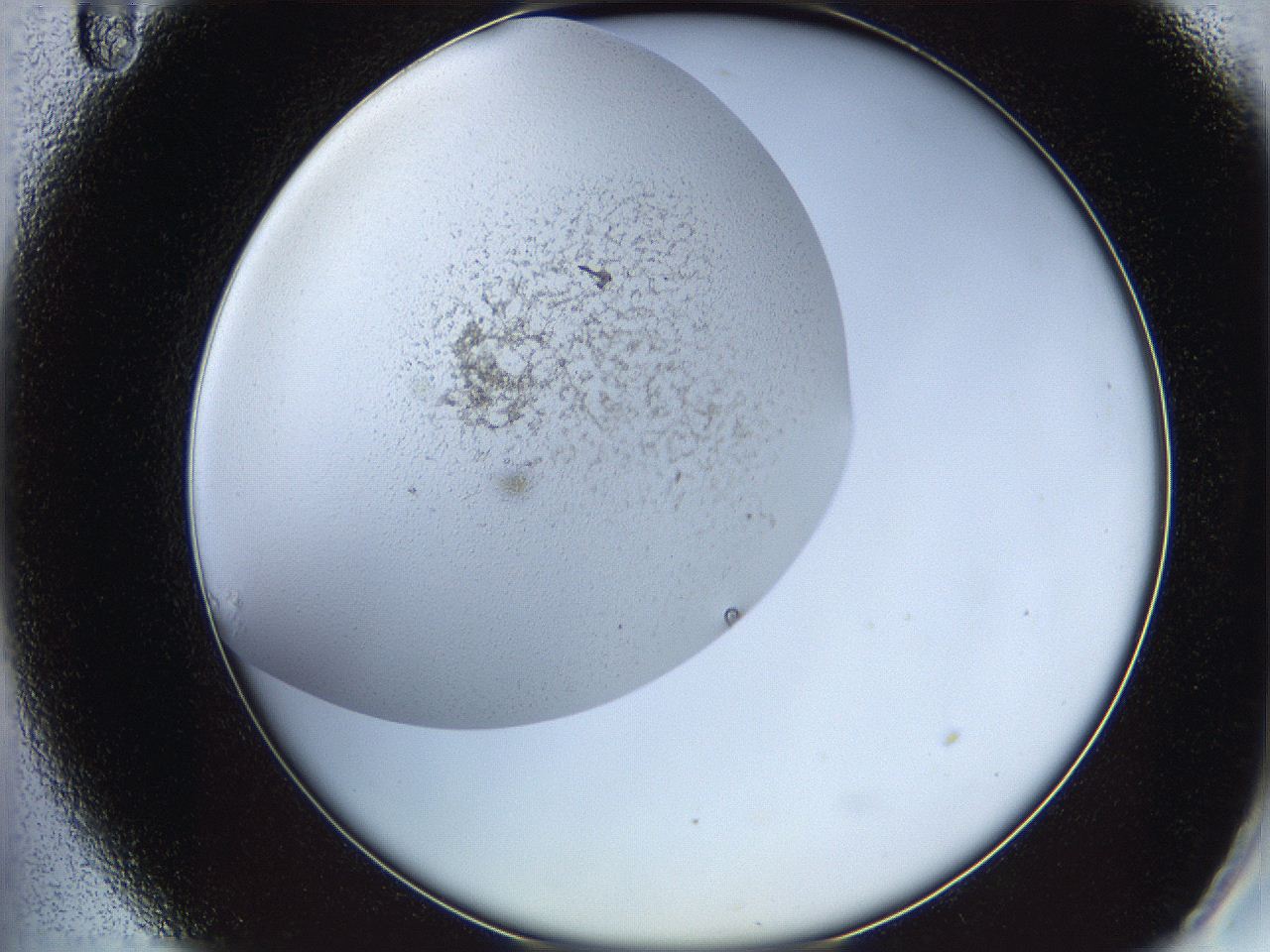 05wo_A11_ImagerDefaults_6.jpg