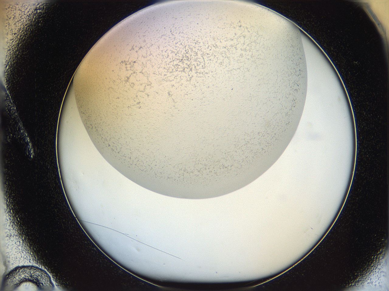 05wo_A10_ImagerDefaults_6.jpg