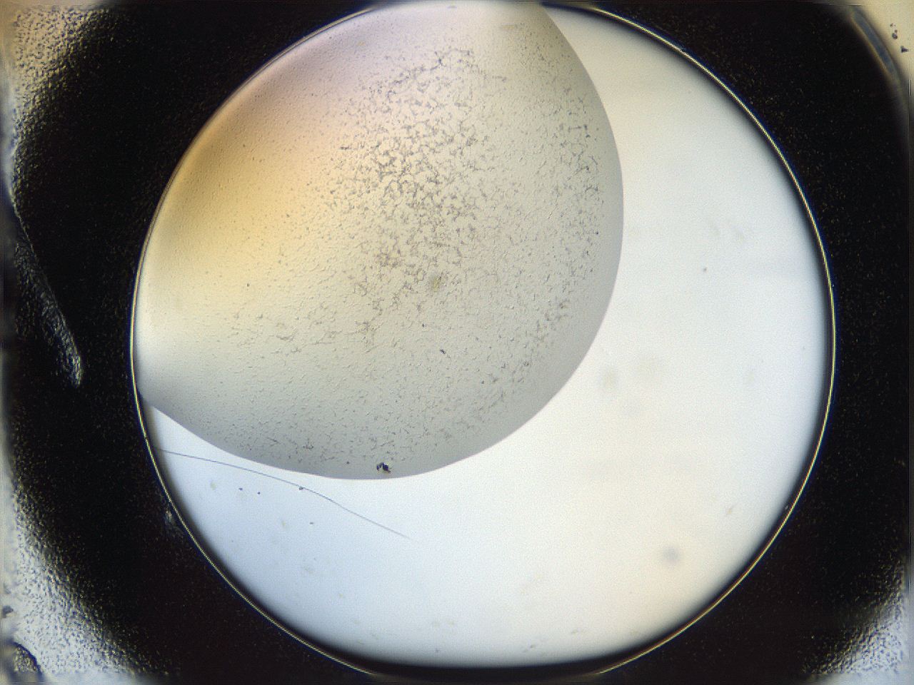 05wo_A9_ImagerDefaults_6.jpg