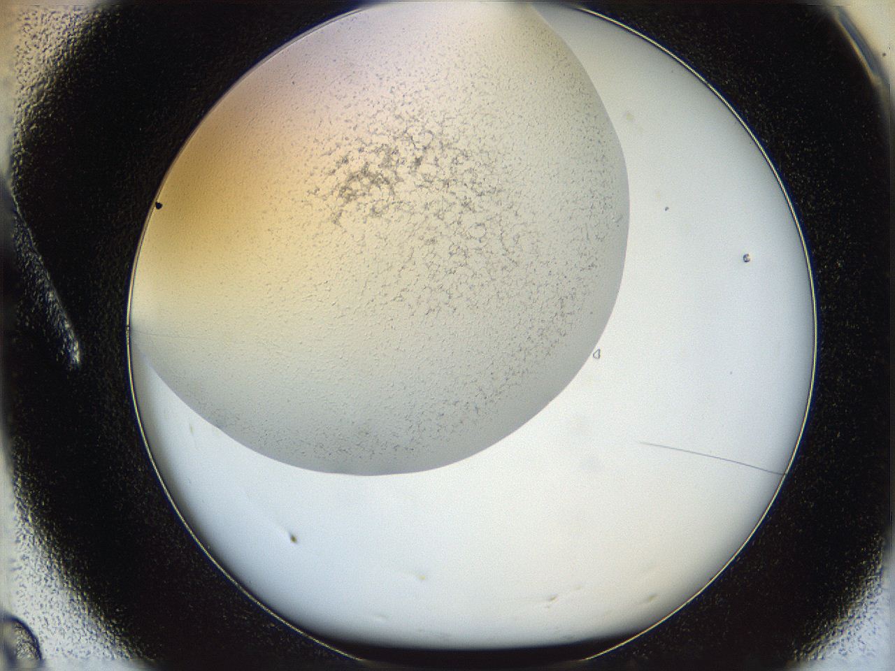 05wo_A8_ImagerDefaults_6.jpg