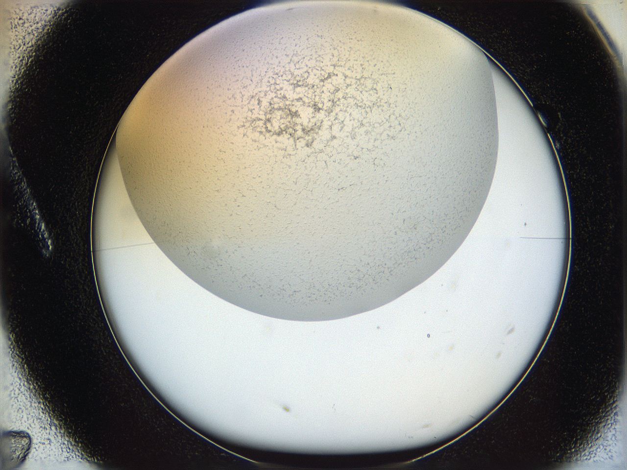 05wo_A7_ImagerDefaults_6.jpg