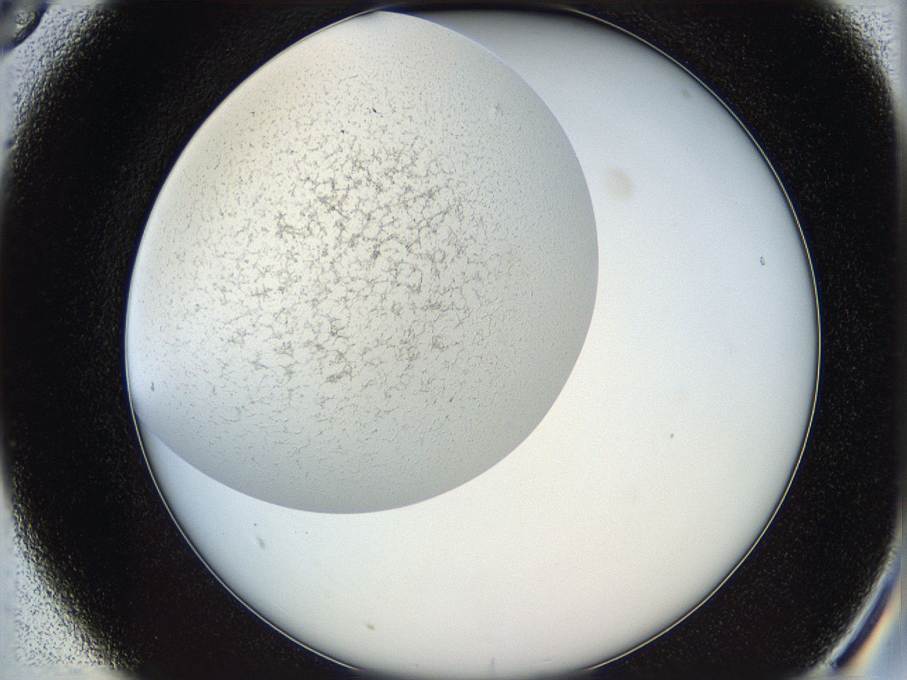 05wo_A5_ImagerDefaults_6.jpg