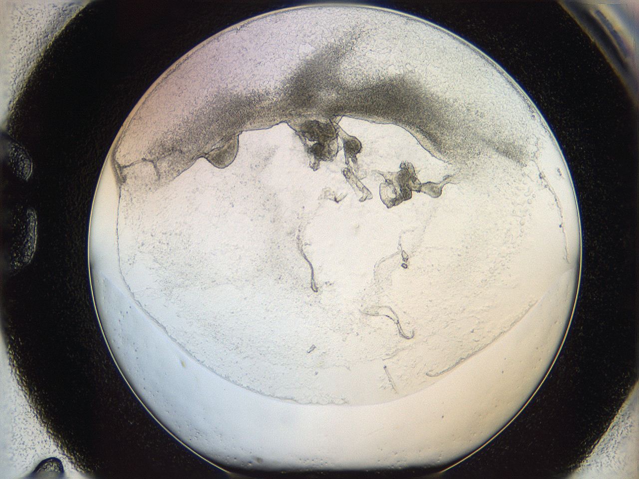 05wo_G11_ImagerDefaults_5.jpg