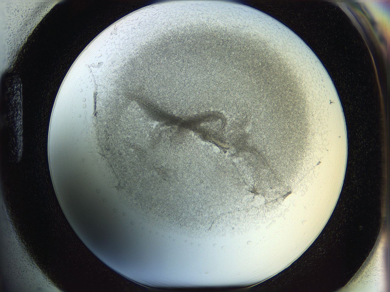 05wo_H1_ImagerDefaults_5.jpg