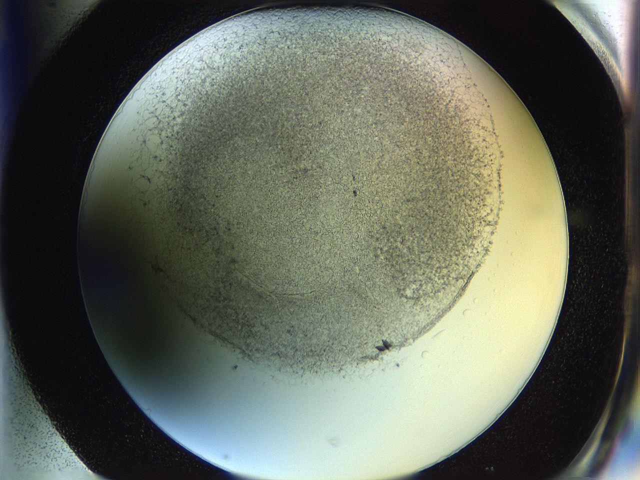 05wo_H1_ImagerDefaults_6.jpg