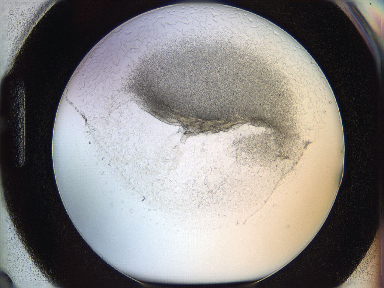05wo_H3_ImagerDefaults_6.jpg