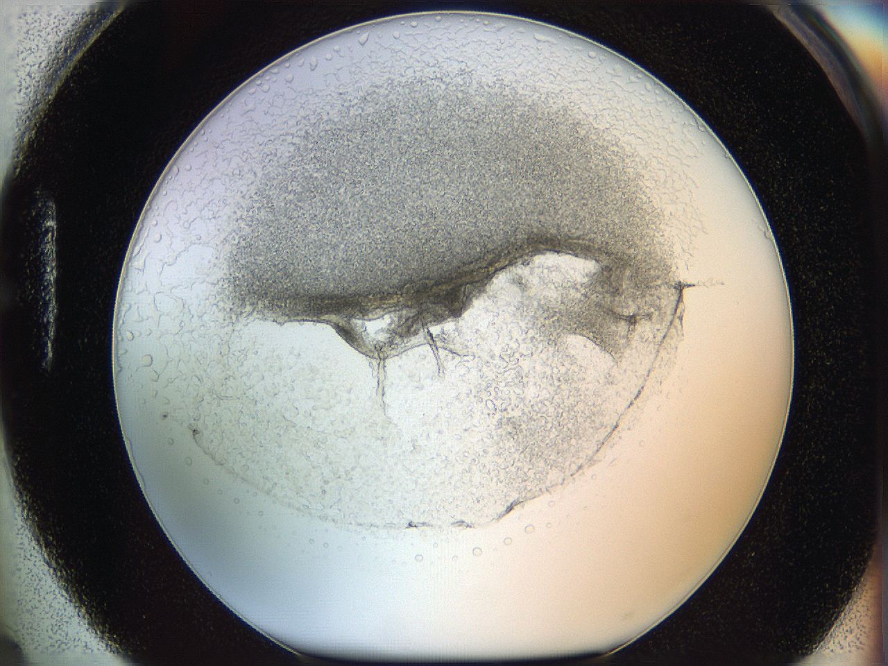 05wo_H4_ImagerDefaults_6.jpg
