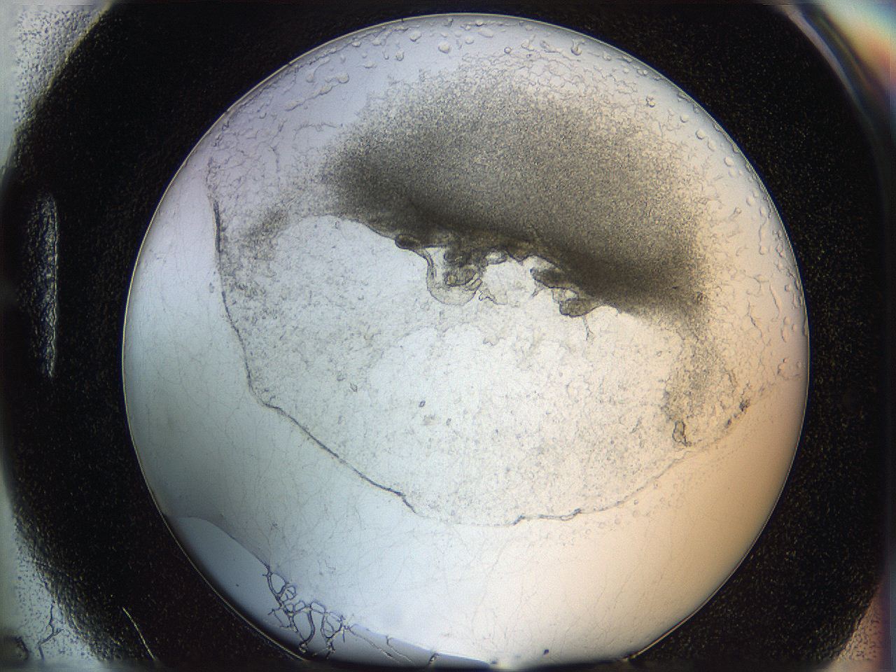 05wo_H5_ImagerDefaults_6.jpg