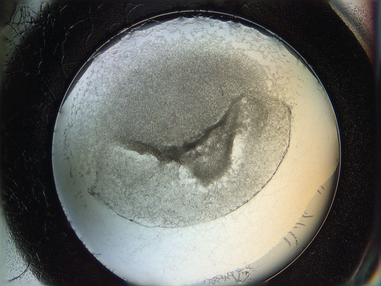 05wo_H5_ImagerDefaults_5.jpg