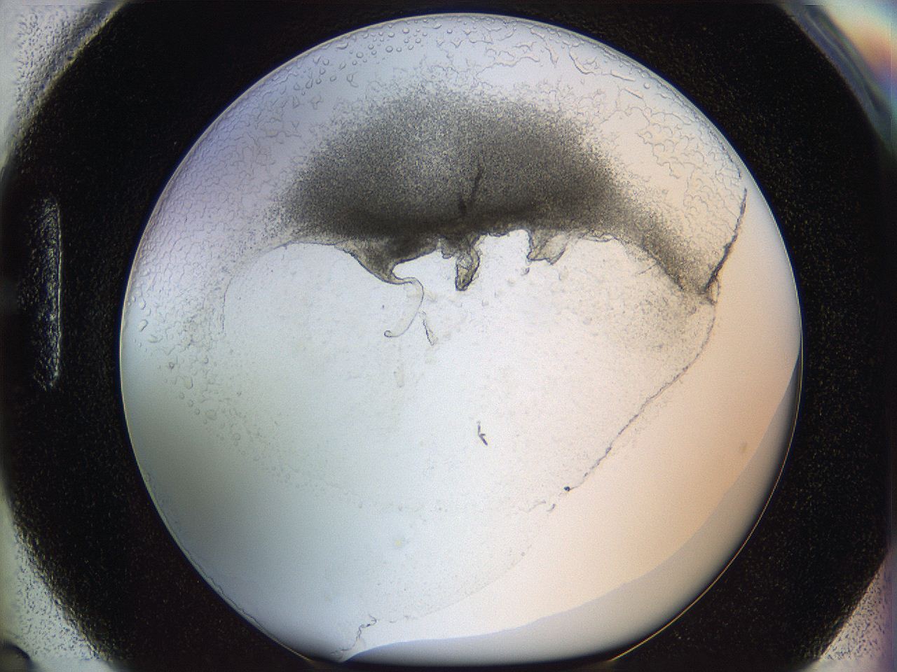 05wo_H6_ImagerDefaults_5.jpg