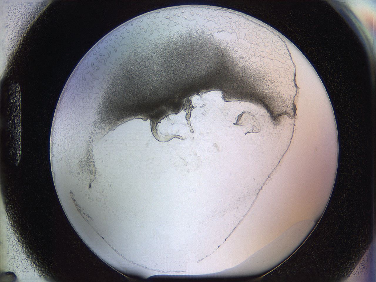 05wo_H7_ImagerDefaults_5.jpg