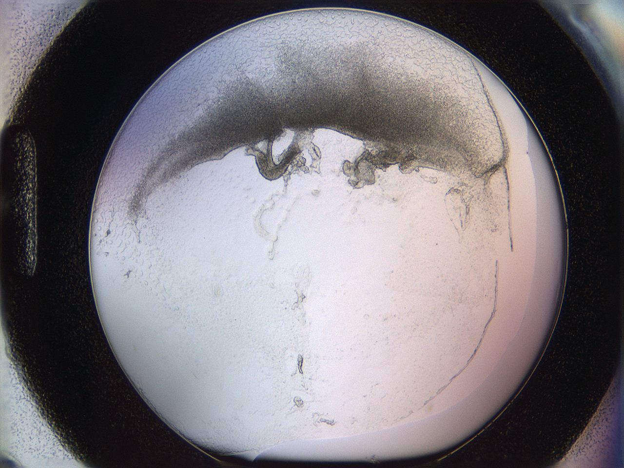 05wo_H9_ImagerDefaults_5.jpg