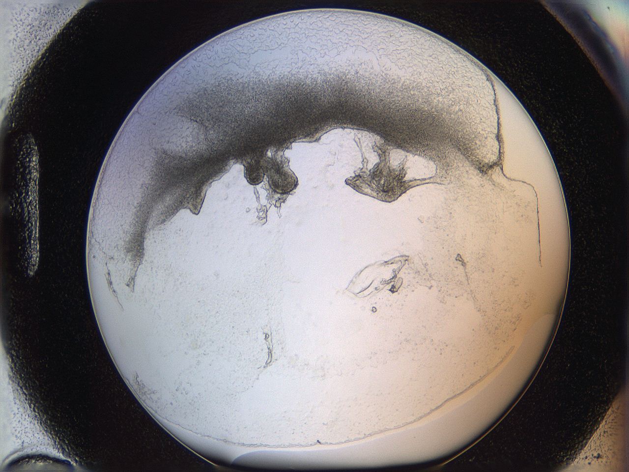 05wo_H10_ImagerDefaults_5.jpg