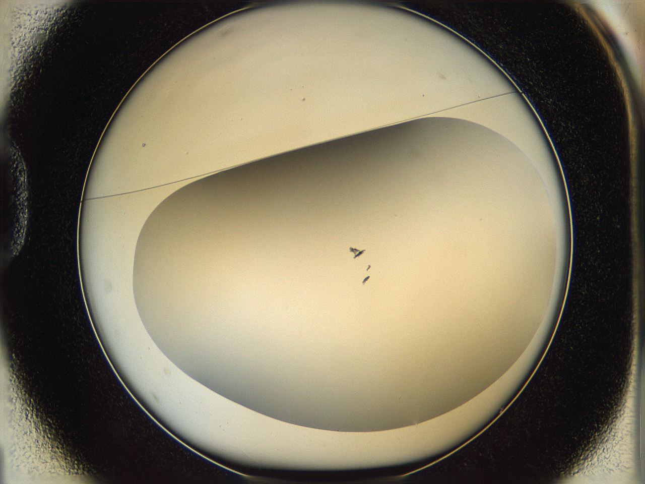 05wp_D1_ImagerDefaults_0.jpg