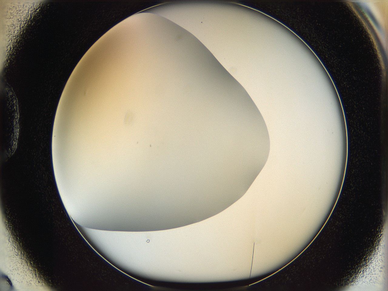 05wp_D2_ImagerDefaults_0.jpg