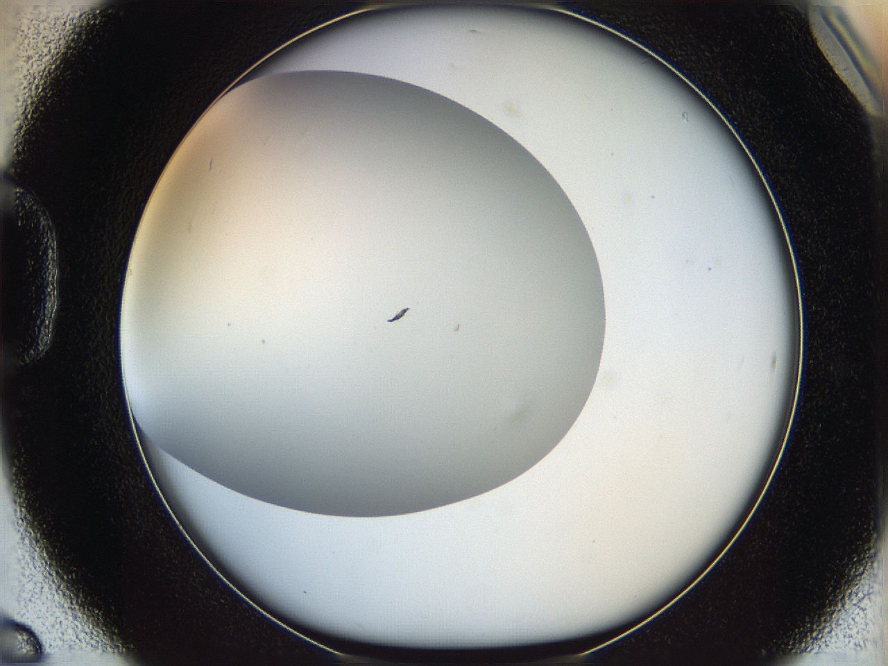 05wp_D6_ImagerDefaults_0.jpg