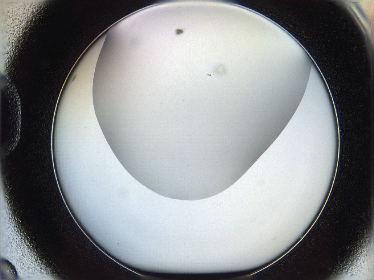 05wp_D8_ImagerDefaults_0.jpg