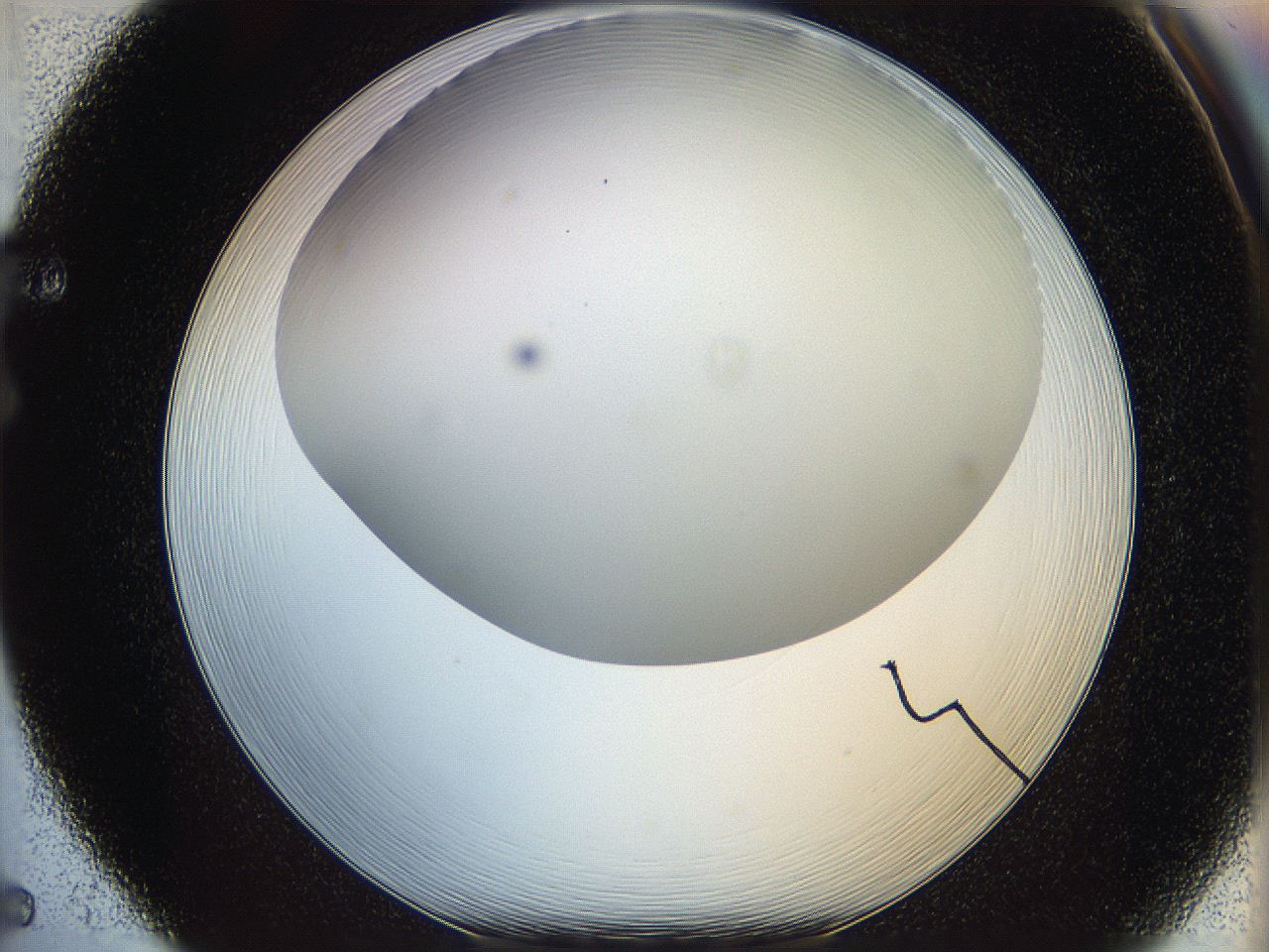 05wp_F5_ImagerDefaults_0.jpg