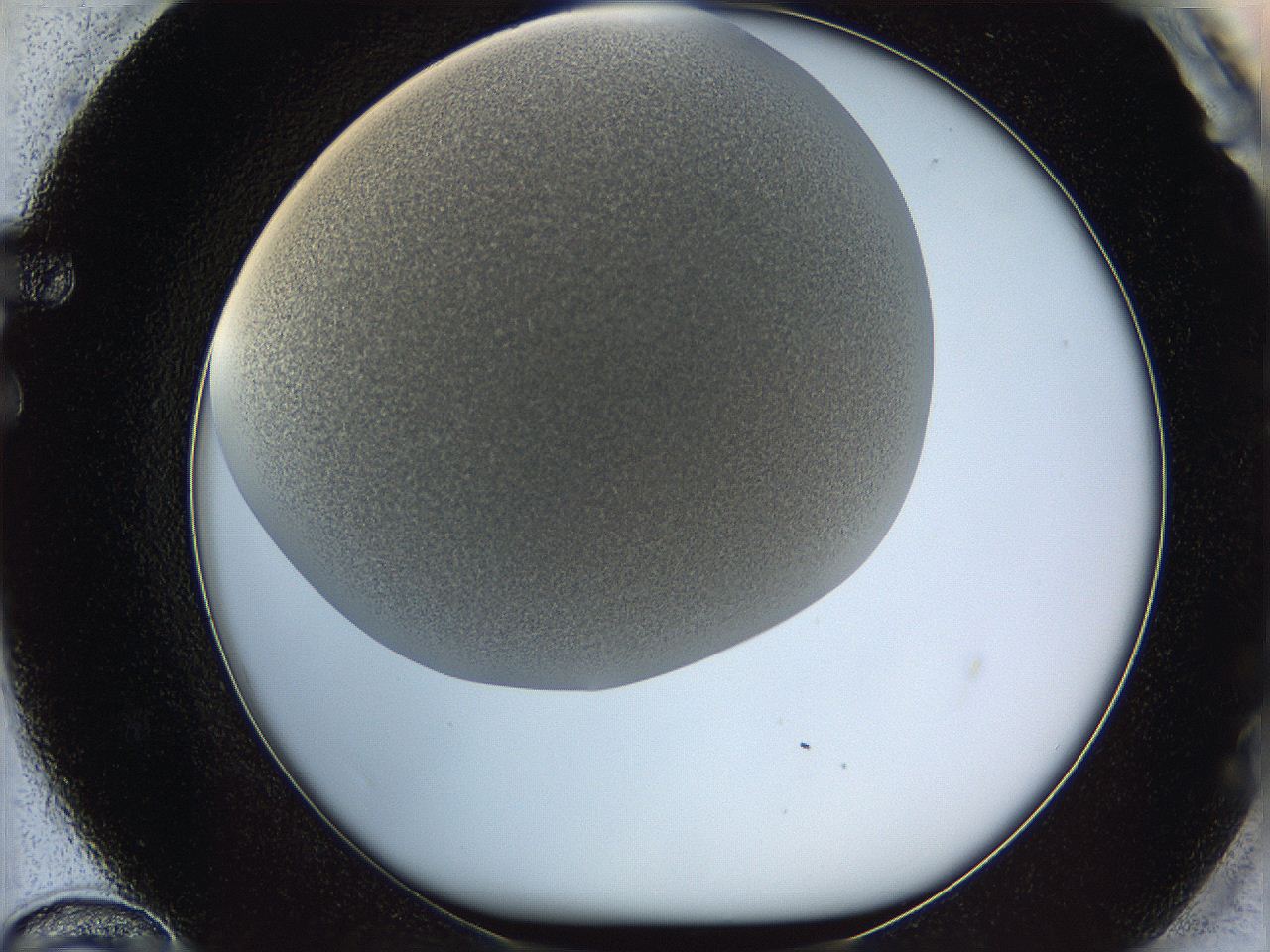 05wp_F12_ImagerDefaults_6.jpg